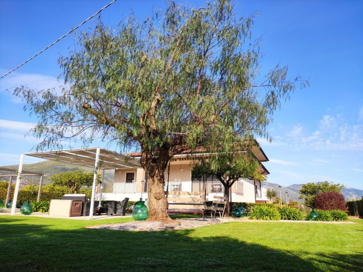Il Giardino Delle Zagare Bed & Breakfast Fondi Dış mekan fotoğraf